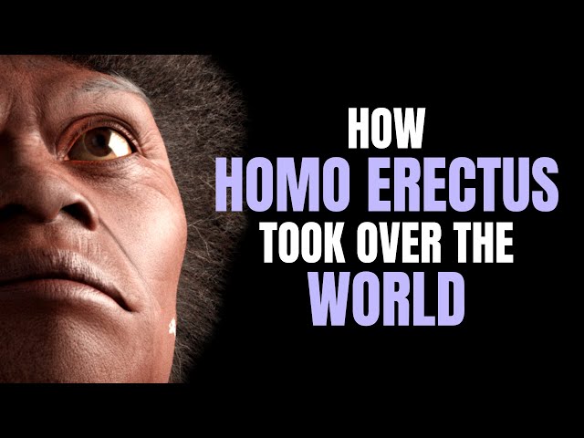 How Homo Erectus Took Over the World ~ with DR KAREN BAAB