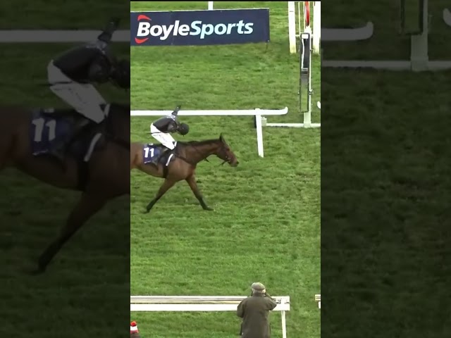 Interesting celebration 😂 #horse #horseracing #racingtv #sport #britishhorseracing