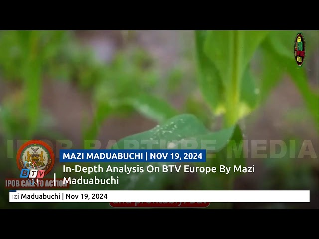 TUNE IN: Exclusive In-Depth Analysis On BTV Europe By Mazi Maduabuchi | Nov 19, 2024