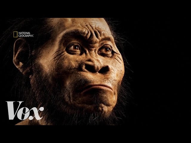 How scientists discovered Homo naledi, the new human ancestor