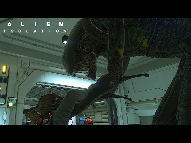 You killed my friend. Prepare to die. Alien Isolation Moment