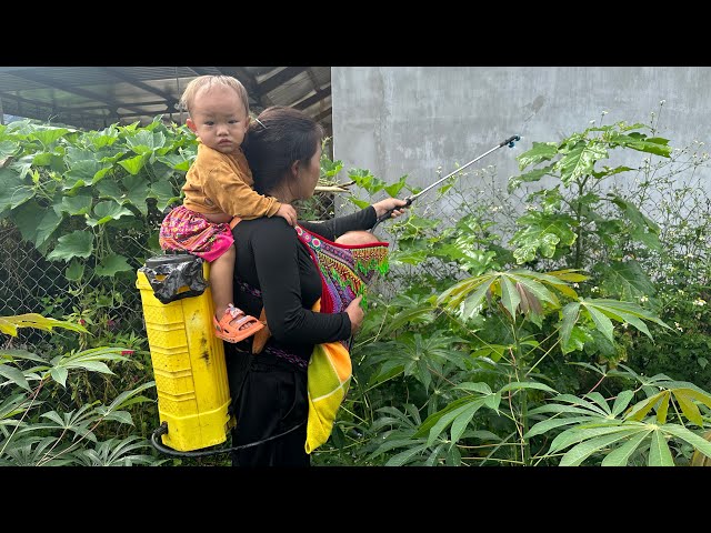 Ly Tieu Hy and her daughter Minh Thu work as hired laborers to make a living