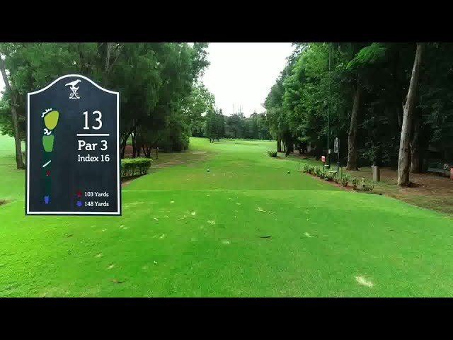 Hole #13