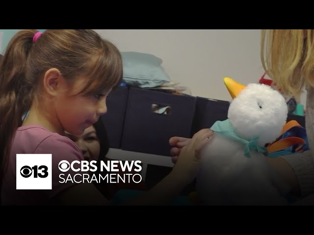 Roseville nonprofit teams with Aflac to get therapeutic, robotic ducks to child cancer patients