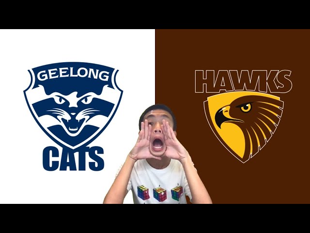 The Best Stadium To Watch AFLW? (Geelong vs Hawthorn)