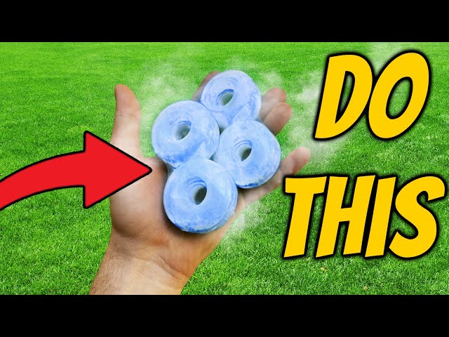 The BEST Skateboarding Life Hacks 2023