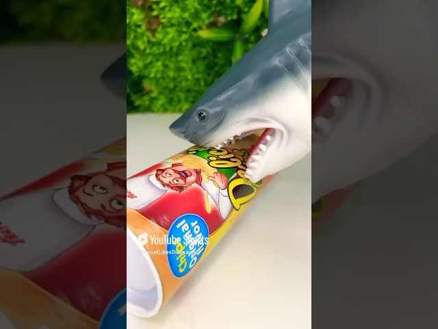 Shark Steals Baby Dinosaur Toy’s Chips (Reupload)