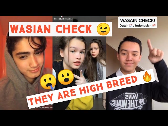 Wasian Check TikTok Compilation