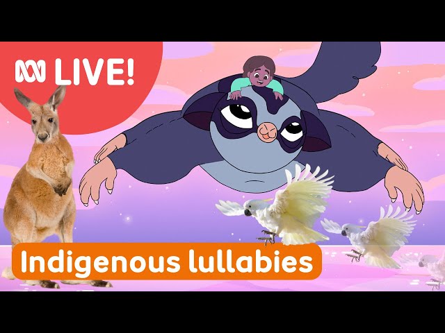 🔴 Indigenous LULLABIES Live Loop for Bedtime 🌕 ✨ 🏕️ 💤