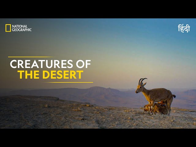 Creatures of the Desert | Hostile Planet | Full Episode | S1-E4 | National Geographic