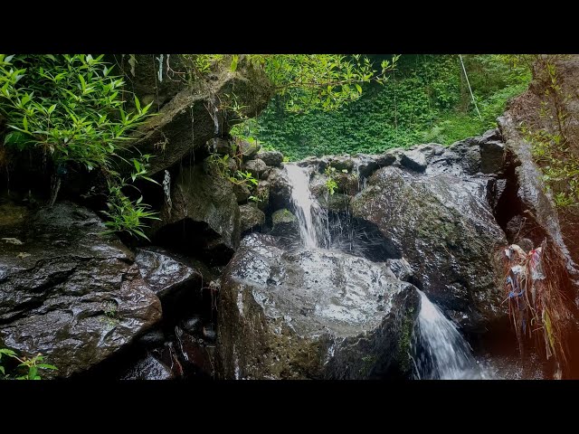 NO ADS 🌿 Peaceful Waterfall & Green Paradise | Natural Water Sounds & Forest Ambience