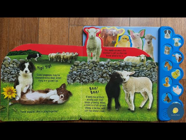 Baby Farm Animals | Animal Sounds | Kids Book Read Aloud