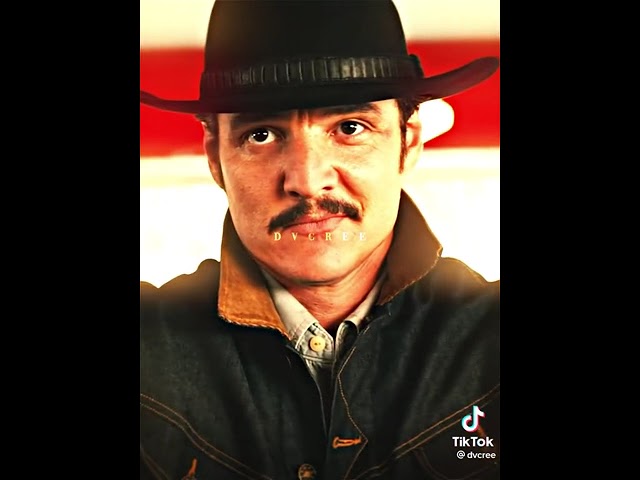 dvcree - that Pedro Pascal edit