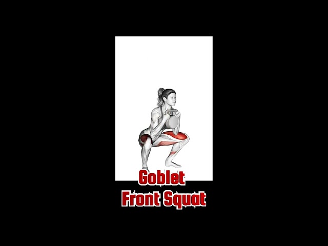 Variations of the Front Squat