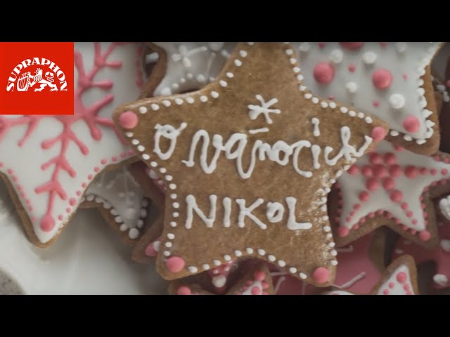 NIKOL - O Vánocích (oficiální video)