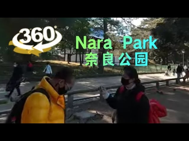 360° Vlog - Nara park 奈良公園 #退休生活 #retirementlife