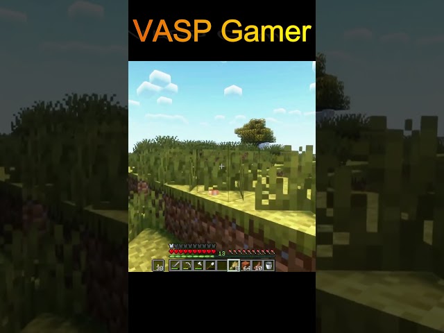 Minecraft || VASP Gamer #shorts #gaming #trending #viral #minecraft #vasp