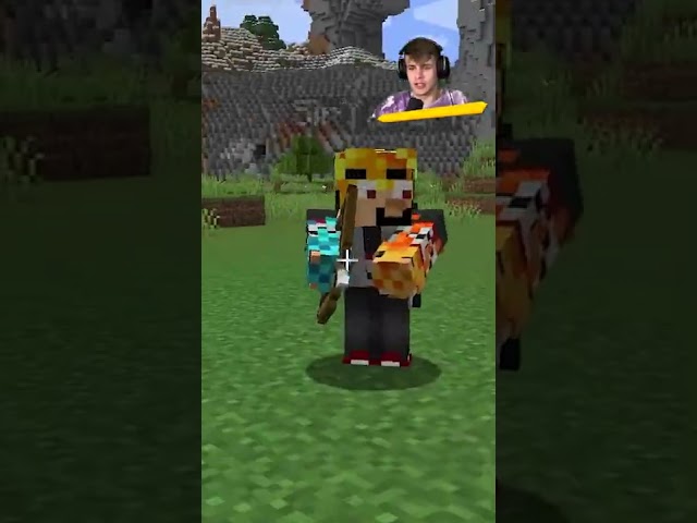 proč to SIRYAKARI udělal... (Minecraft)