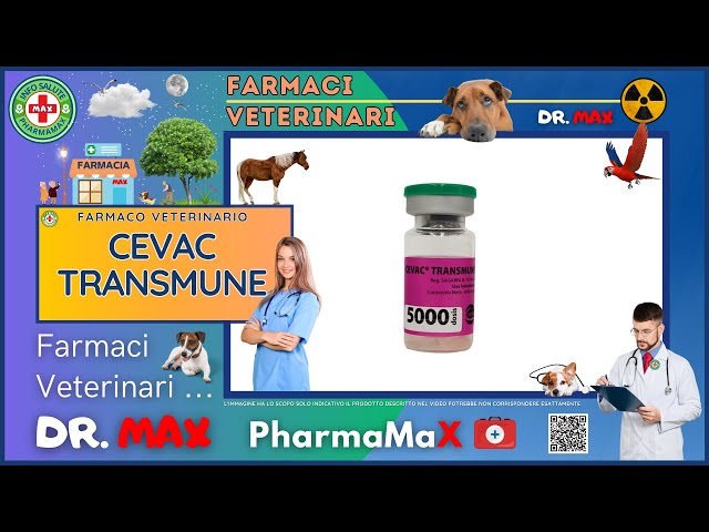 🐶 CEVAC TRANSMUNE Farmaco Veterinario a cosa serve ? - Foglietto Illustrativo 👔 Dr. MAX