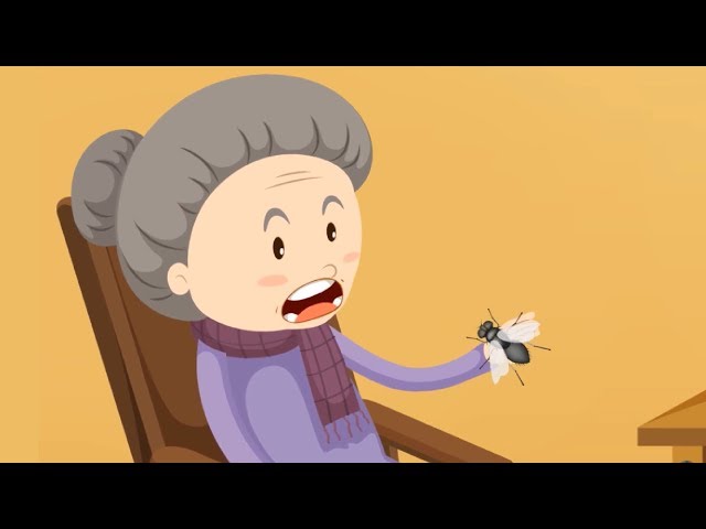 I Know An Old Lady who Swallowed a Fly Song