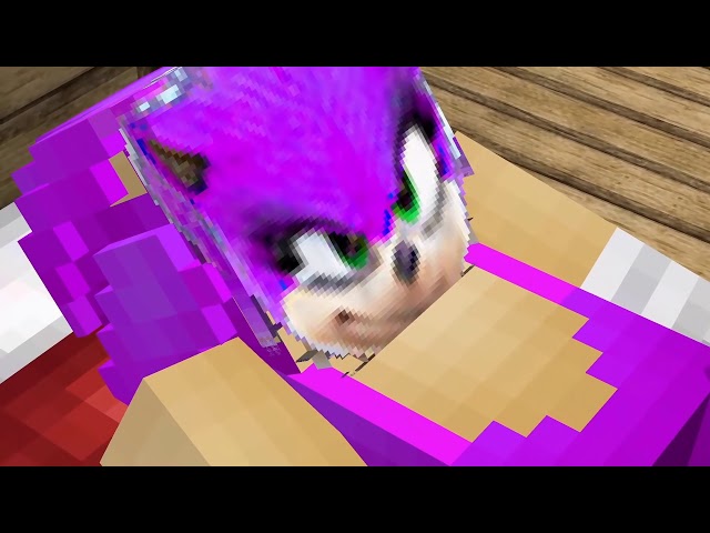 Sexual content in a kids Minecraft/Sonic the Hedgehog video.