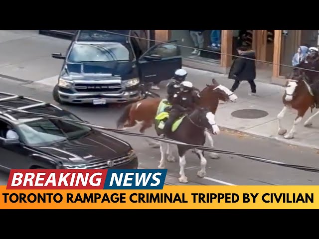 BREAKING NEWS: CRIMINAL ON RAMPAGE TRIPPED OVER BY CIVILIAN