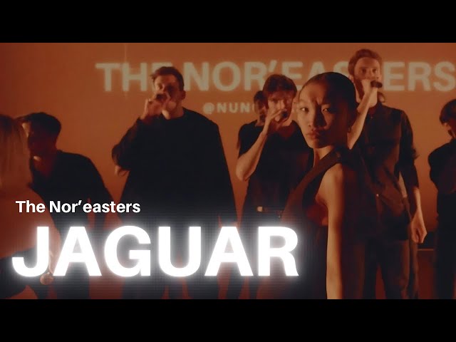 Jaguar (opb. Victoria Monét) - The Nor’easters