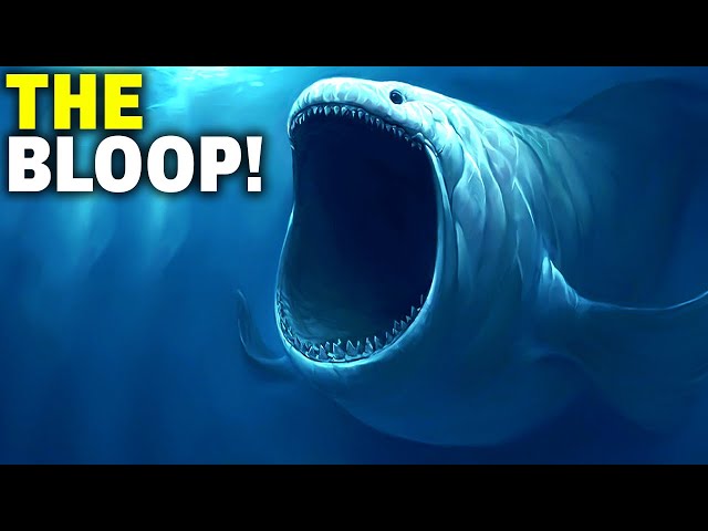 The Bloop | Explained