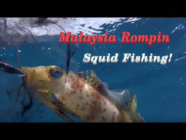 Malaysia Offshore Eging - Squid