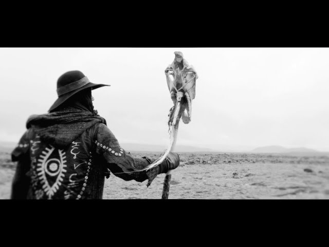 Behemoth - Ben Sahar - Official Video