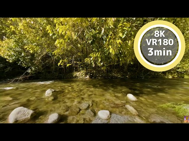 3 Min Meditation Listen to the babbling of a stream VR180 8K Binaural ASMR