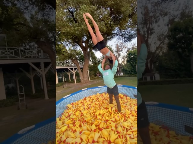 Not a good idea to do acrobatics in a pool full of chickens 😬