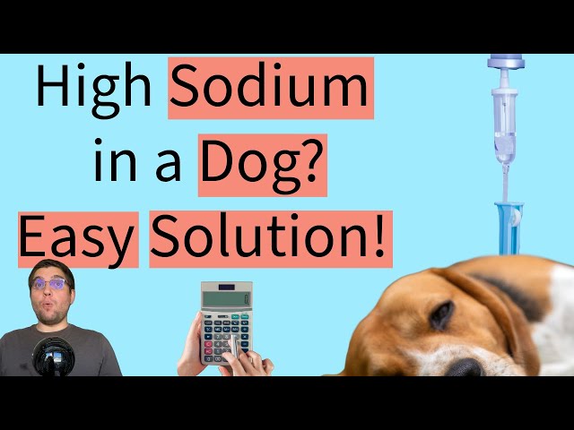 Easy Steps to Manage High Plasma Sodium in Veterinary ER