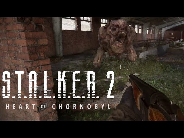 Why is everything so MEAN?! | S.T.A.L.K.E.R. 2: Heart of Chornobyl - pt 2