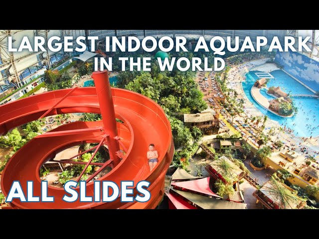 tropical island, all slides inside the World’s Largest Water Park