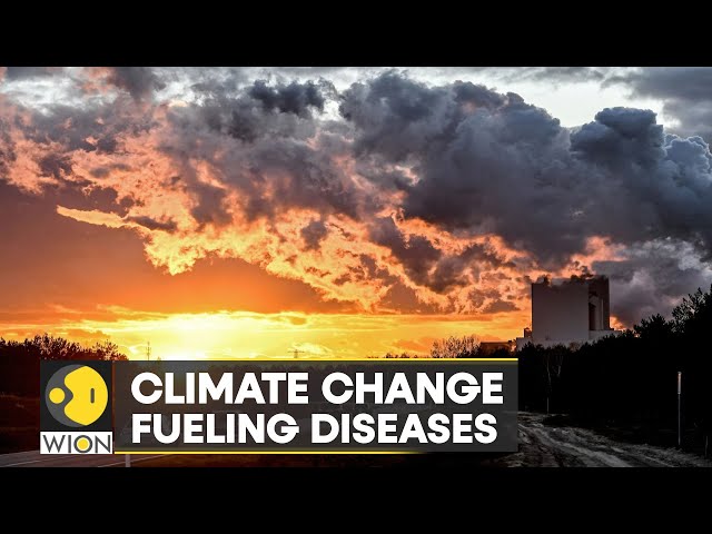 WION Climate Tracker | Rising heat & floods trigger spread of infectious diseases