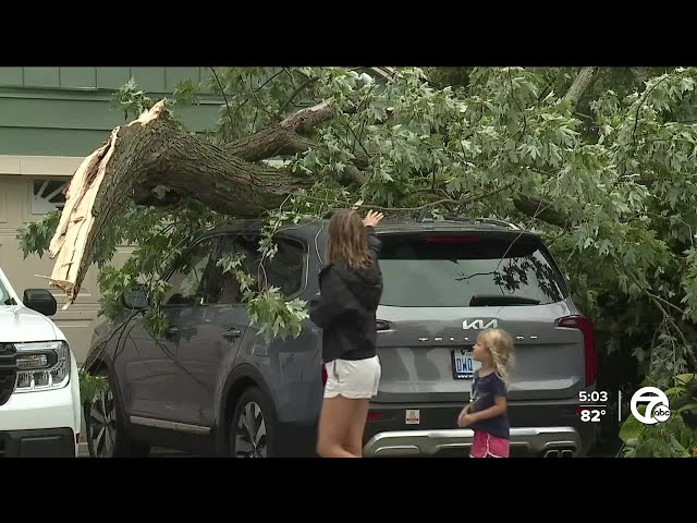 DTE: 'Significant' damage from Tuesday's storm left about 300,000 without power