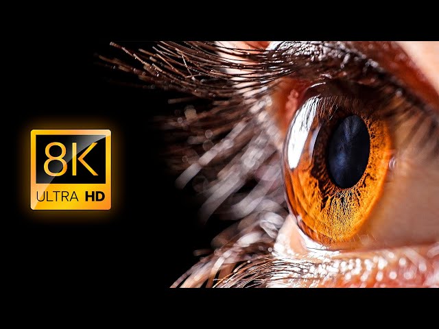 Everyday Objects in Macro in 8K ULTRA HD / 8K TV