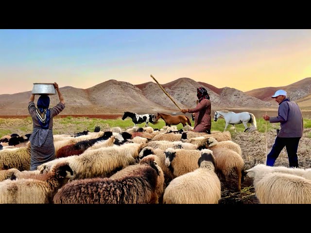 Iranian Mountain Village Life: The Daily Adventures of Iranian Villagers