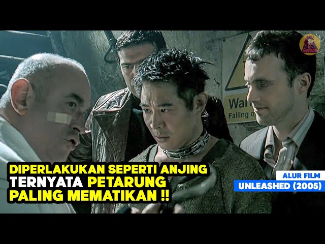 DIDIDIK SEPERTI ANJING SEJAK KECIL UNTUK MENJADI PETARUNG PALING MEMATIKAN‼️ alur cerita film JET LI