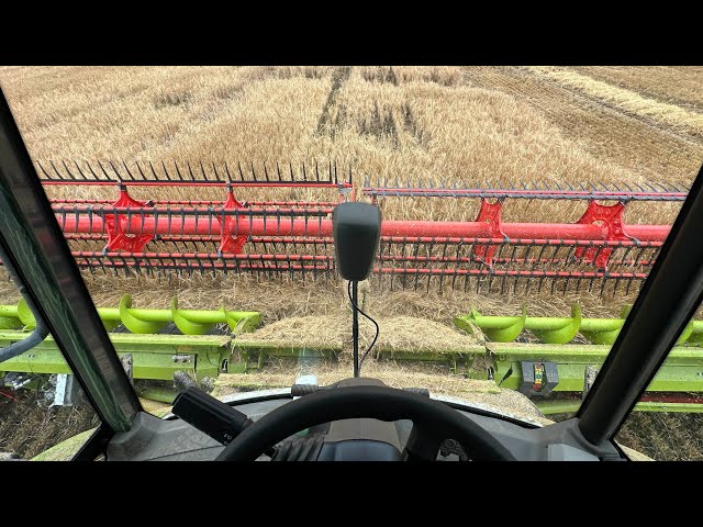 Harvest 24 live