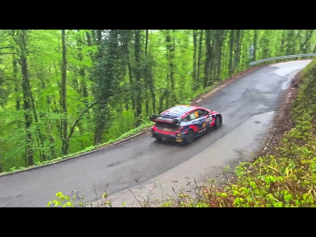 WRC Croatia 2022  Thierry Neuville Stojdraga Day 1 fly by, forest deep bass