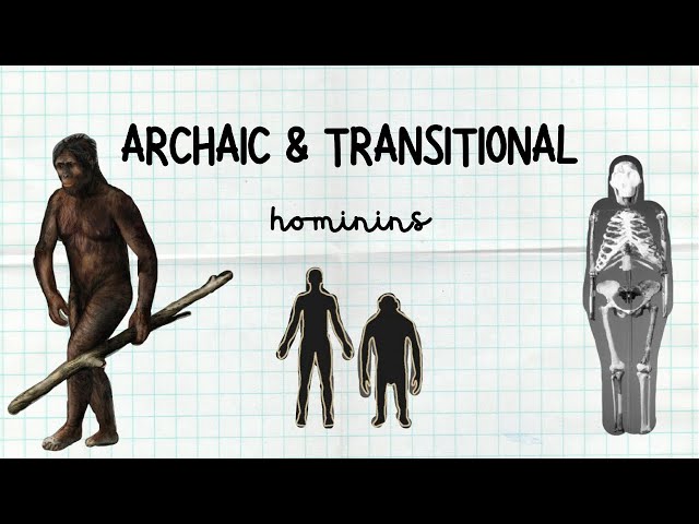 Human Evolution: ARCHAIC and TRANSITIONAL hominins