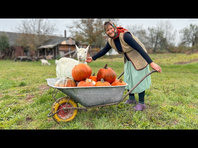 Autumn in the Countryside: Grandparents, Grandkids, and Village Life