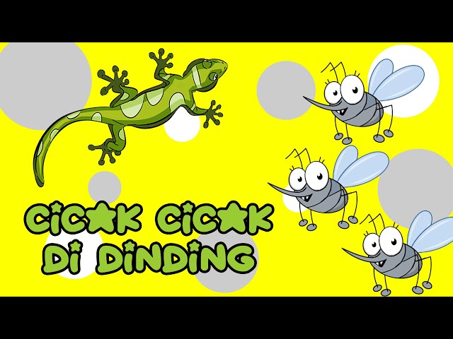 Cicak cicak di dinding | Lagu anak | Lagu anak populer