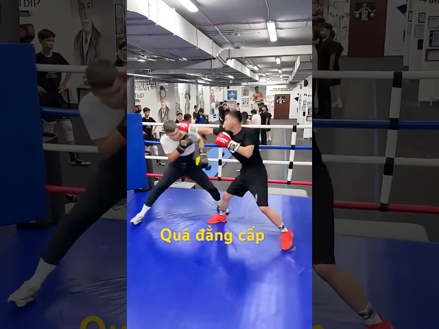 Quá nhanh quá đẳng cấp boxing #kickboxing #boxing #boxingbout #kickboxing #boxerworld #mma #muay