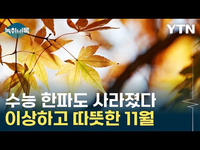 이 날씨가 11월 맞나?...패딩은 대체 언제입을 수 있을까 [Y녹취록] / YTN