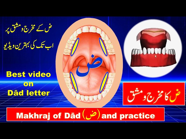 Duad letter Tajweed | Daad letter makhraj and practice | makhraj of ض |  Zuad letter Tajweed | Quran