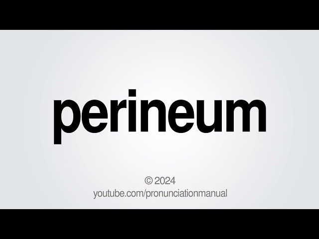 How to Pronounce Perineum