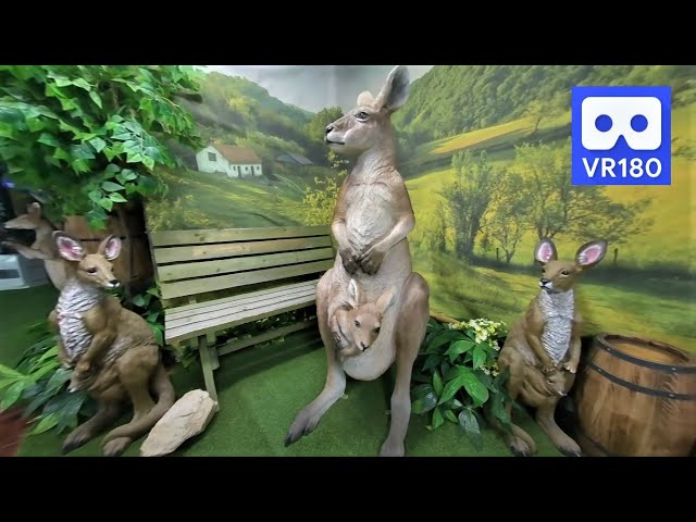 3D 180VR 4K Cute kangaroo Family in Happiness kangaroo Village